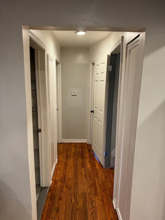 hall featuring dark wood-type flooring