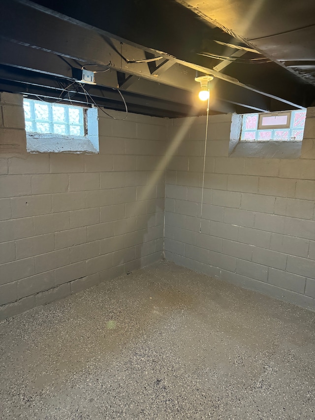 basement with a wealth of natural light