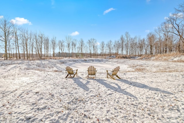 view of yard covered in snow