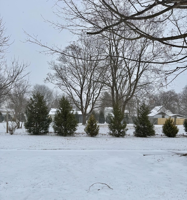 view of snowy yard