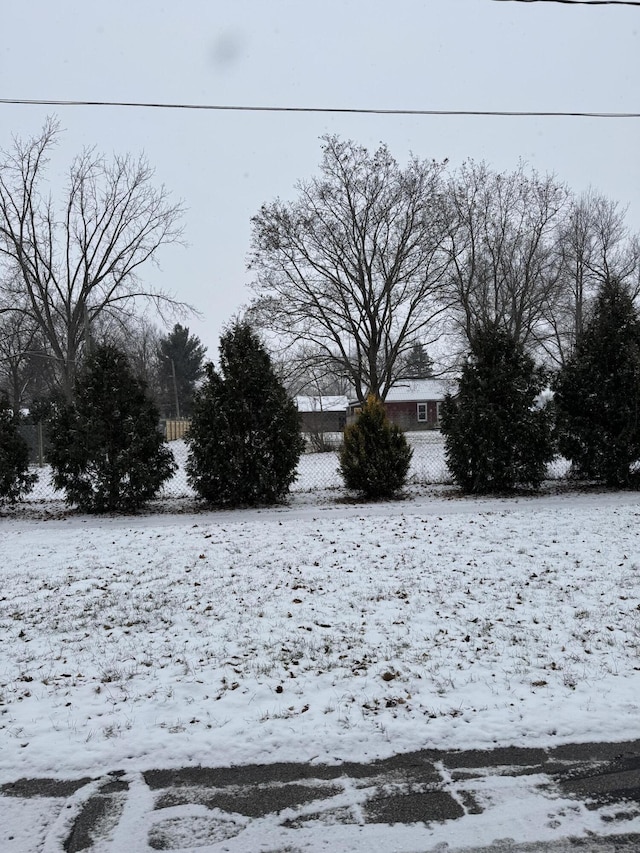 view of snowy yard