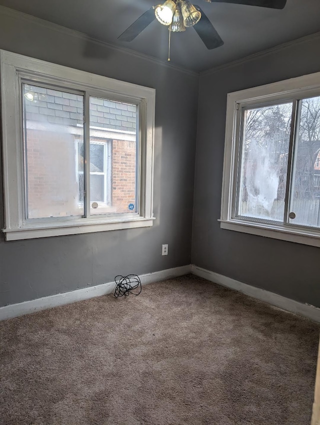 spare room featuring ceiling fan, carpet floors, and ornamental molding