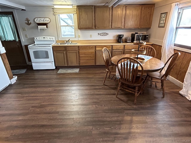 kitchen with dark hardwood / wood-style floors, white electric stove, and sink