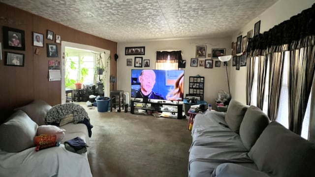 living room with wooden walls and carpet flooring