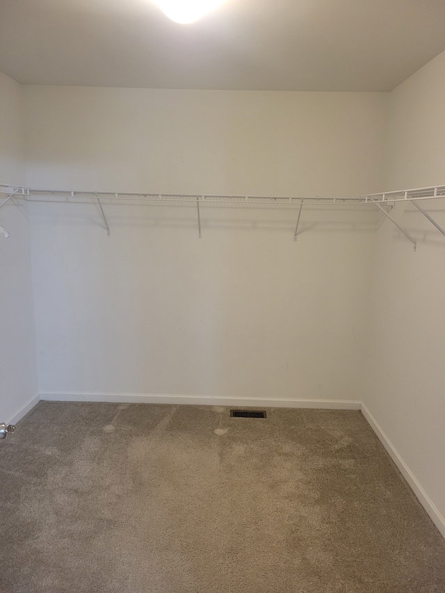 spacious closet featuring carpet