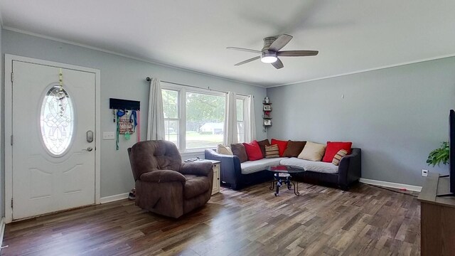 living room with ornamental molding, ceiling fan, and dark wood-type flooring