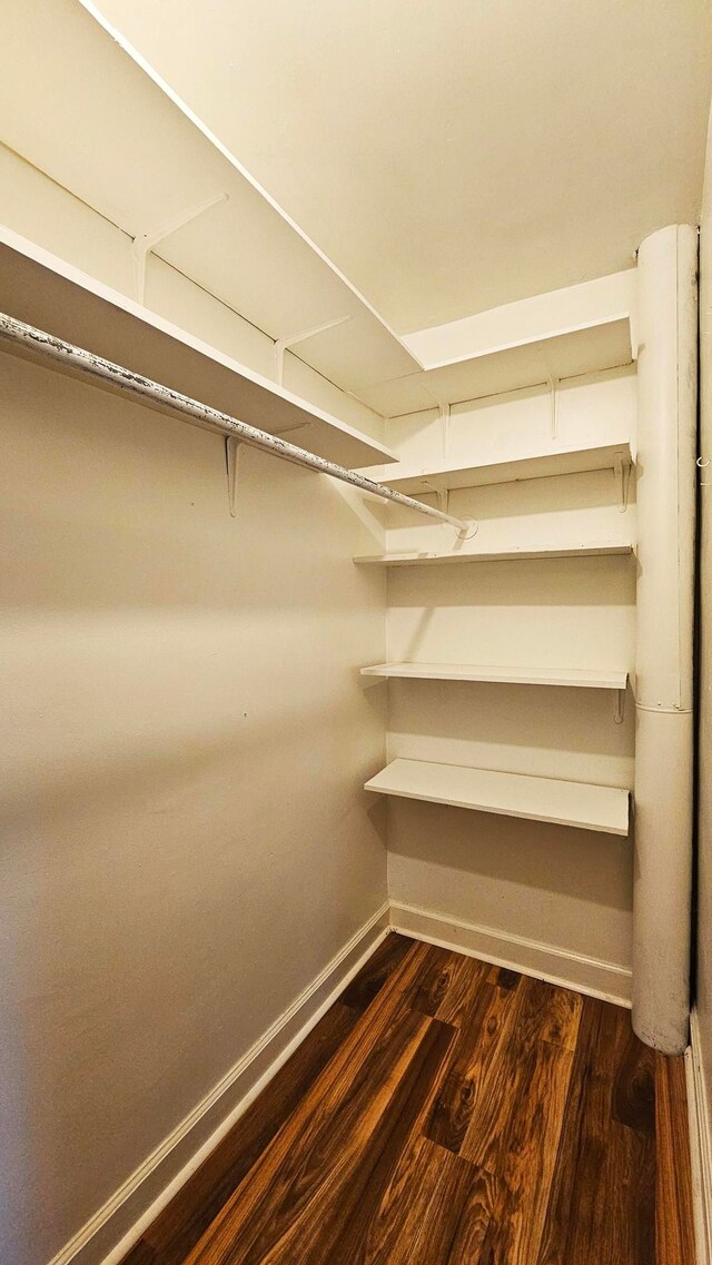 walk in closet featuring dark hardwood / wood-style flooring