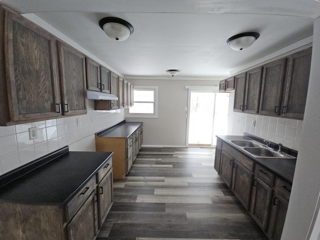 kitchen with sink, dark wood-type flooring, tasteful backsplash, and dark brown cabinetry