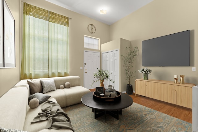 living room featuring dark hardwood / wood-style flooring