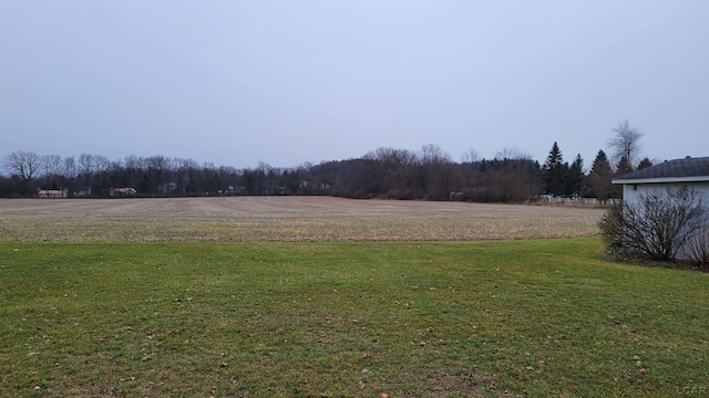 view of yard featuring a rural view