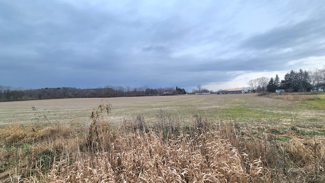 view of yard with a rural view