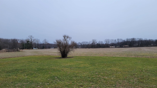 view of yard with a rural view