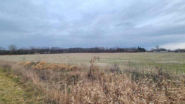 view of yard with a rural view