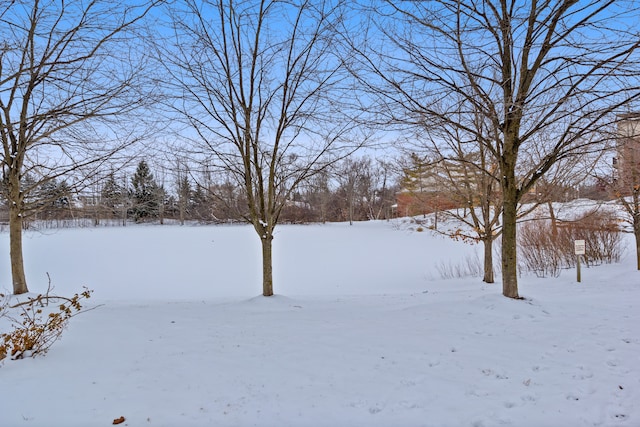 view of yard layered in snow