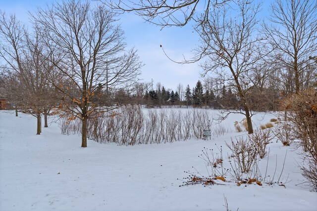 view of snowy yard