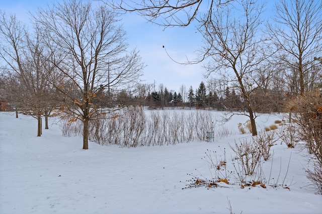 view of yard layered in snow