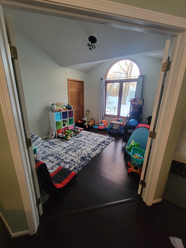 playroom with wood-type flooring and lofted ceiling