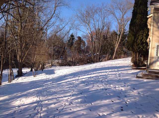 view of yard layered in snow