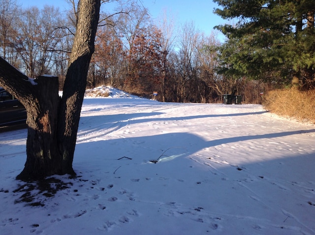 view of yard covered in snow