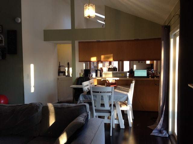 living room featuring hardwood / wood-style floors and lofted ceiling