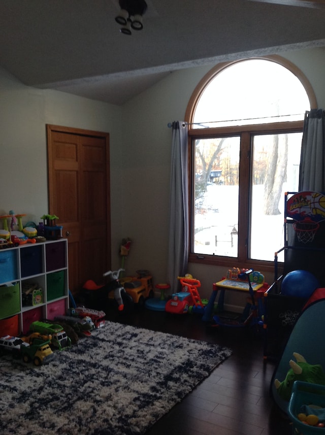 playroom featuring hardwood / wood-style flooring