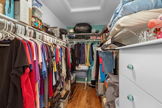 walk in closet featuring hardwood / wood-style floors