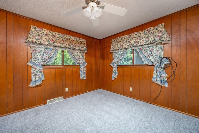 carpeted empty room with a wealth of natural light, ceiling fan, and a textured ceiling