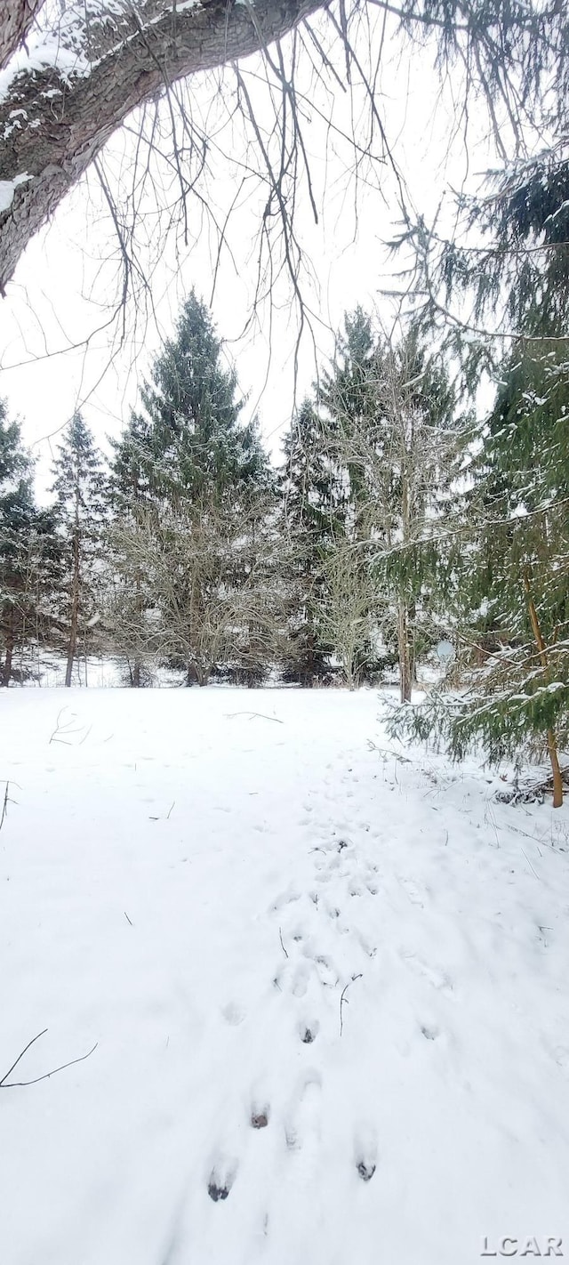 view of yard layered in snow