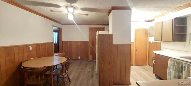 dining area featuring ceiling fan, light wood-type flooring, a textured ceiling, and ornamental molding