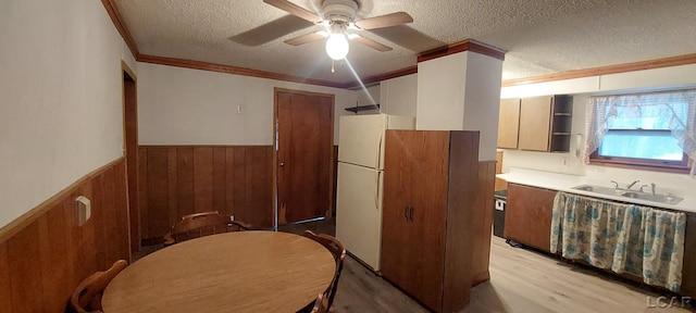 kitchen featuring light wood-type flooring, a textured ceiling, ceiling fan, sink, and white refrigerator