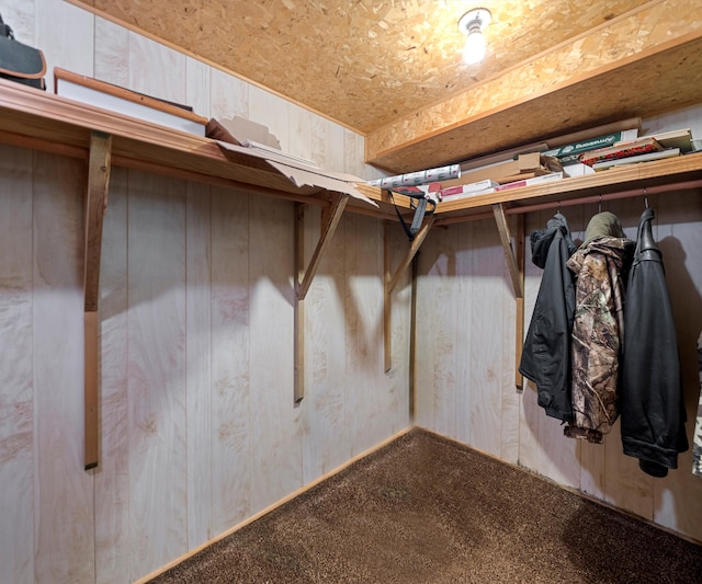 walk in closet with carpet