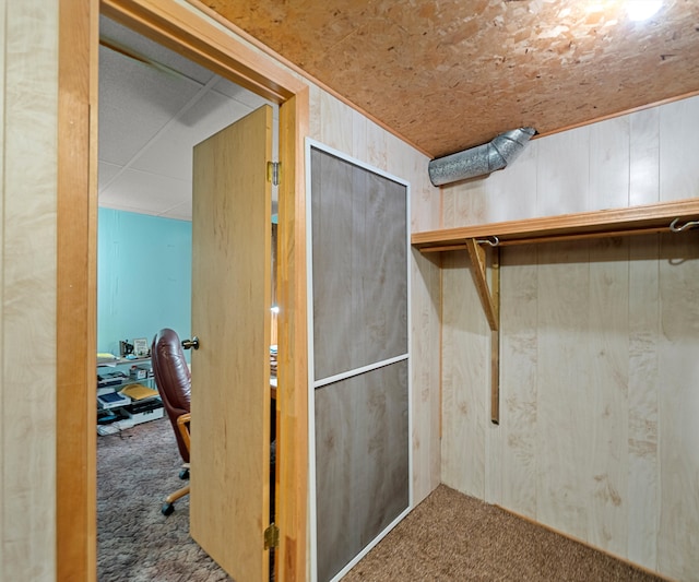 interior space featuring wooden walls