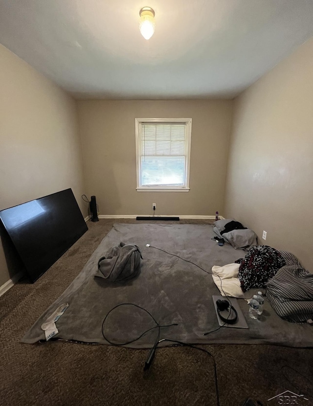 interior space featuring carpet flooring