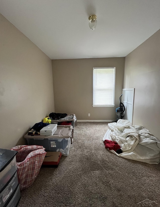 bedroom with carpet floors