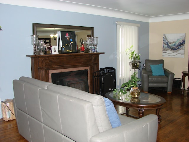 living room featuring a notable chandelier and dark hardwood / wood-style floors