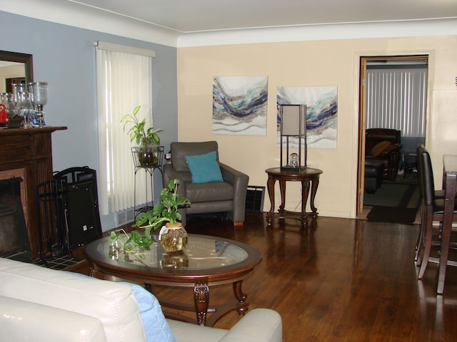 living room featuring hardwood / wood-style flooring