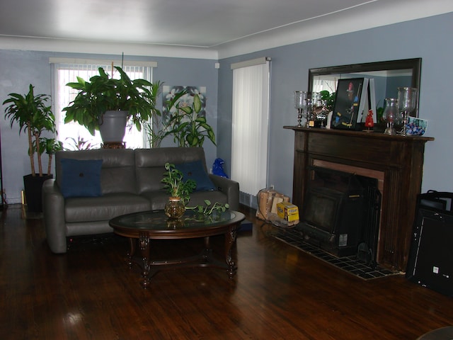 living room with wood-type flooring and a wood stove