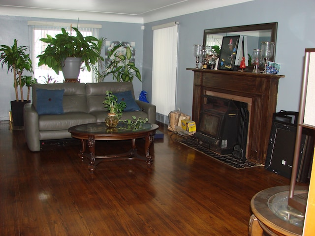 living room with wood-type flooring