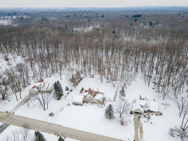 view of snowy aerial view