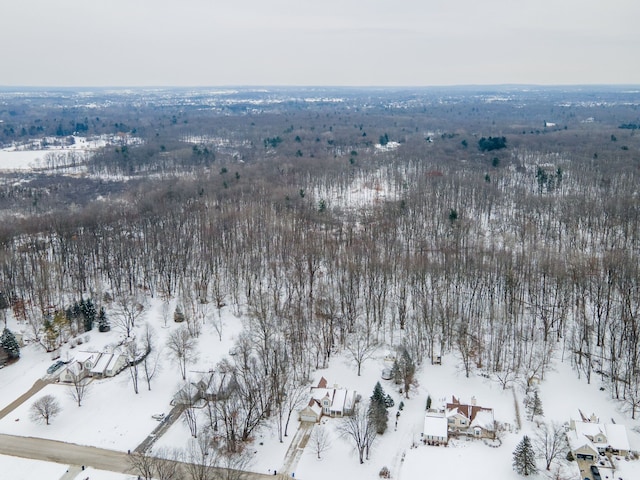 view of snowy aerial view