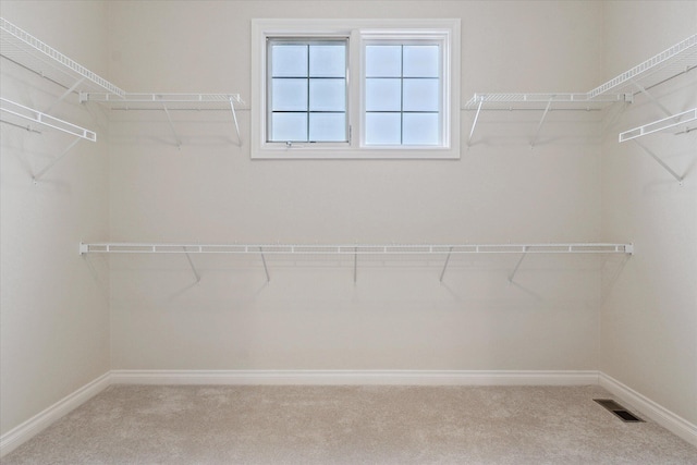 walk in closet with carpet floors and visible vents