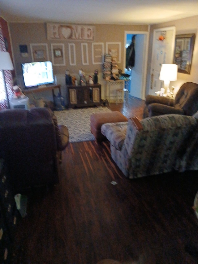 living room with wood-type flooring