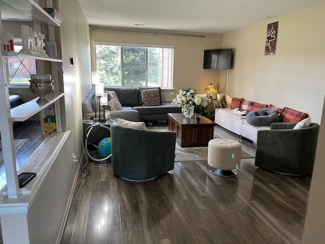 living room featuring hardwood / wood-style floors