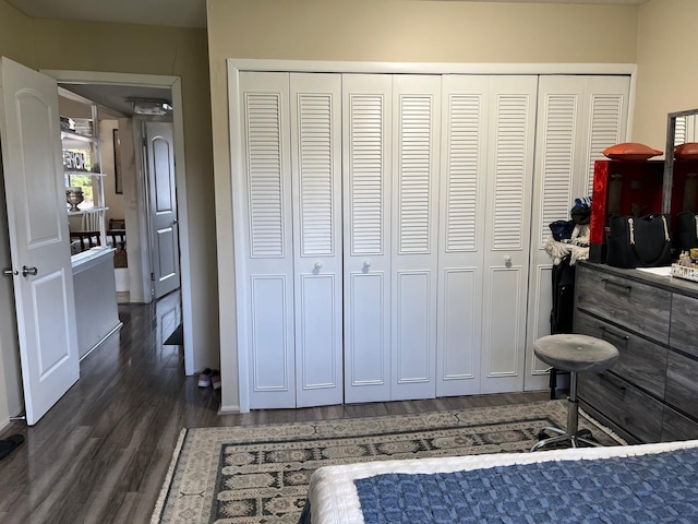 bedroom with a closet and dark wood-type flooring