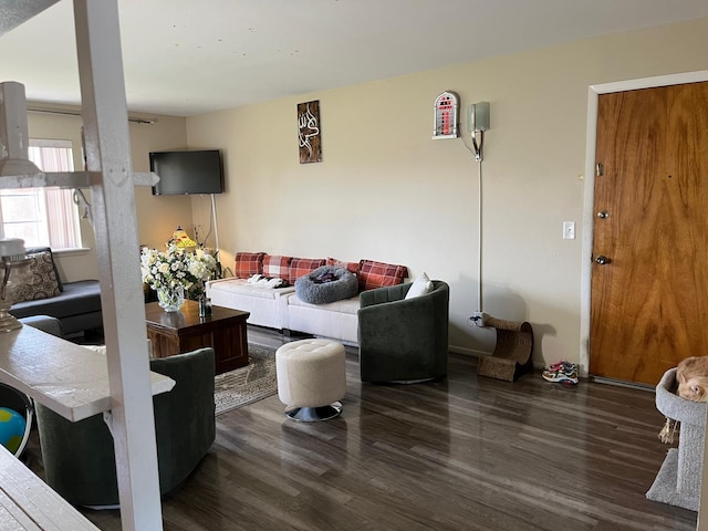 living room featuring dark wood-type flooring