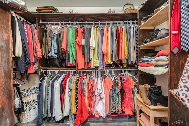 view of spacious closet