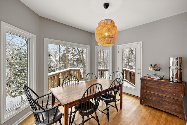 dining area with light hardwood / wood-style floors and a healthy amount of sunlight