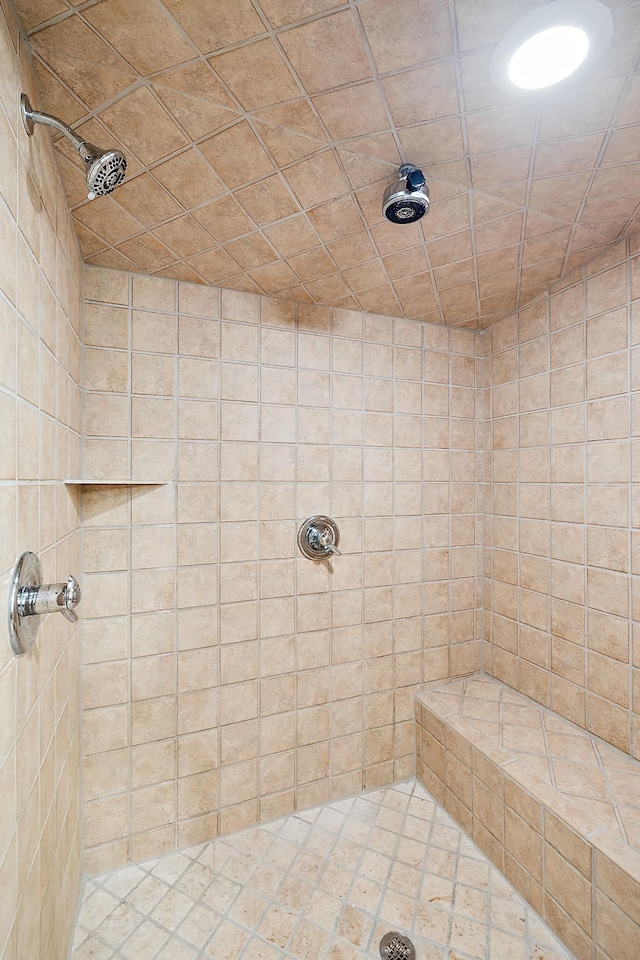 bathroom with tiled shower