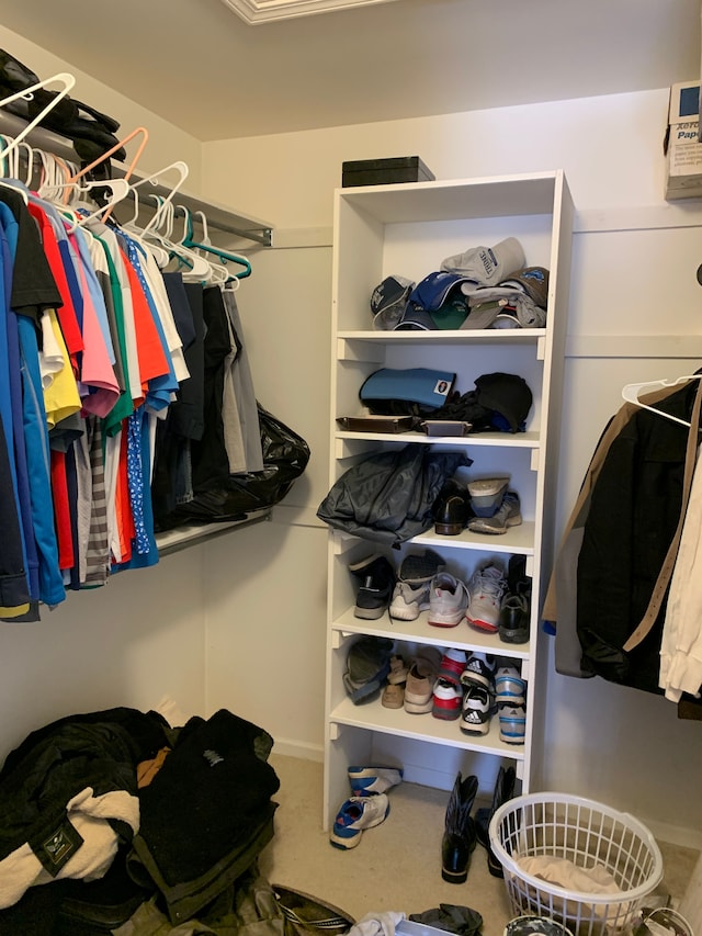 view of spacious closet