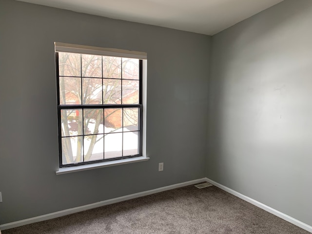 carpeted empty room featuring a wealth of natural light and baseboards